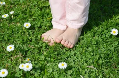 Legs in grass Foto stock