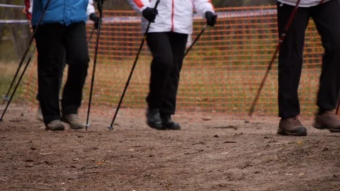 Legs of a group of people practicing Nordic Walking.slow motion Video stock 115545989