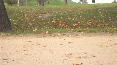 Legs HD 動画素材 112296521