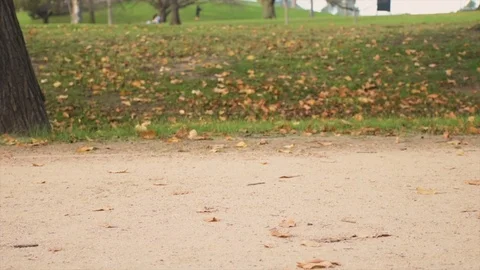 Legs HD 動画素材 112296654