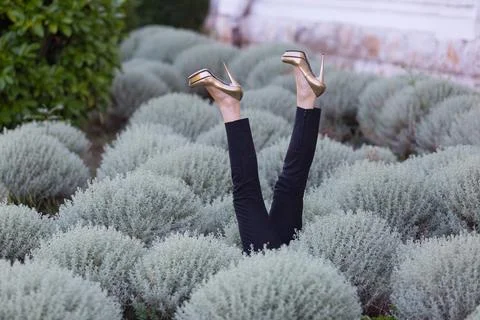 Legs in High Heels Upside Down in a Bush Fotos Stock