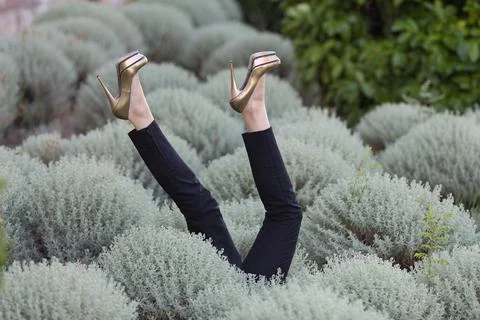 Legs in High Heels Upside Down in a Bush Foto stock