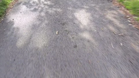 Legs in inline skates boots are moving on abandoned asphalt road in forest.  Stock Footage 314014461