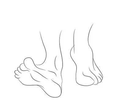 Legs lines, vector, Stock Illustration