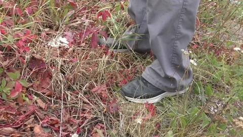 The legs of a man who wants to use the toilet and chooses a secluded place. Stock Footage 116383353