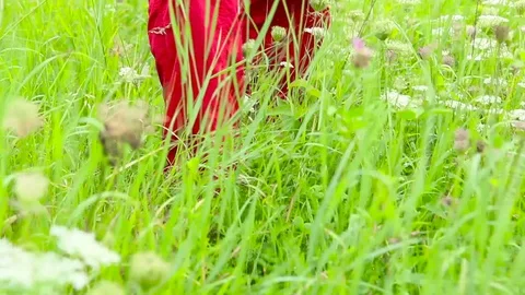 Legs of the men walking along the field with grass and flowers Stock Footage 80301738