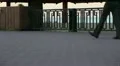 Legs of people walking on the sidewalk. HD Footage