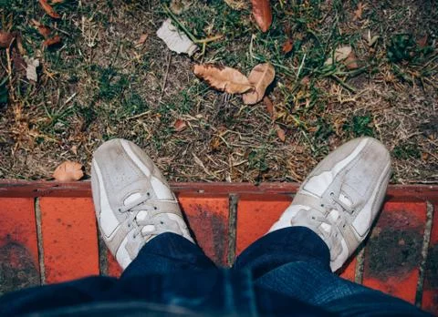 The legs Stock Photos