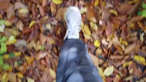 Legs sneakers for the autumn case Stock Footage 149187841