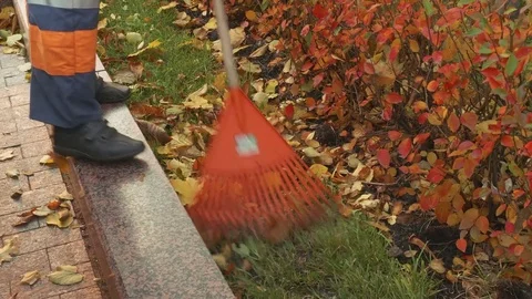 Legs of street worker standing on border and piling up leaves Stock Footage 82904633