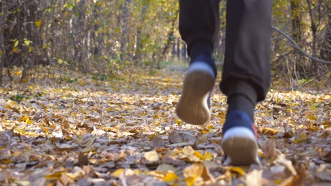 Legs of strong man running at forest path covered with colored foliage. Guy jogs Stock Footage 100287108