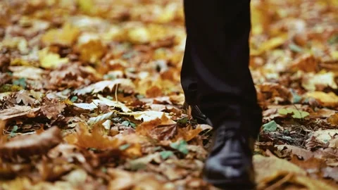 The legs of a stylish man walking through the autumn forest close-up Stock Footage 169436906