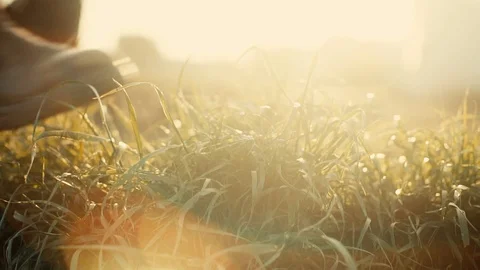 Legs tread on green grass Stock Footage 92102131