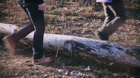 Legs of two men stepping over fallen tree in forest in autumn Video stock 67171923