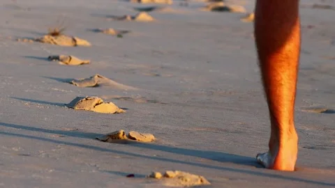 Legs walking along a beach. Video stock 279203112