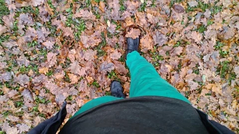 Legs walking on foliage, top view Stock Footage 321615256