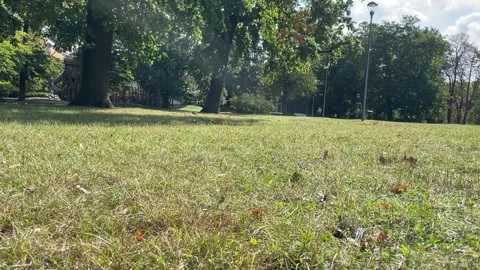 Legs walking on the grass brown pants and blue jeans Stock Footage 252574334