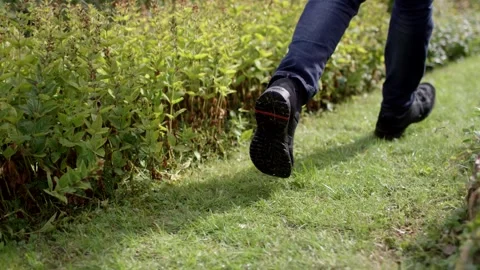 Legs Walking on Grassy Garden Path, Overgrown Green Plants, Low Angle Shot Stock-Footage 341527677