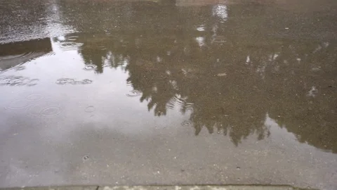 Legs of a walking man in a puddle, close-up Stock Footage 116595047