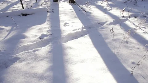 Legs Walking Through Shallow Snow Stock Footage 73119364