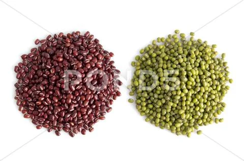 Legumes collection Stock Photos