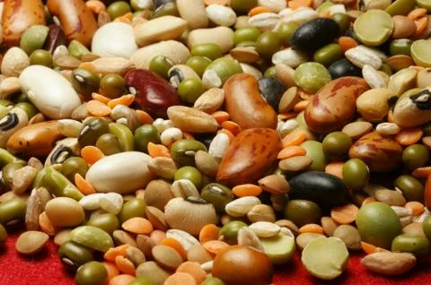 Legumes Stock Photos