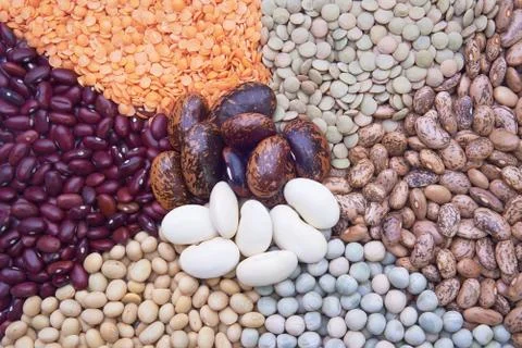 Legumes Stock Photos