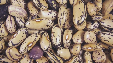 Legumes rotate in the background top view Stock Footage 99858014