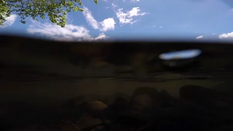 Lehigh River Dunk Underwater Stock Footage 76086767