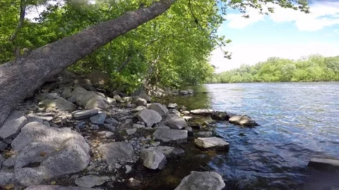 Lehigh Riverbank View Downstream Stock Footage 76086522