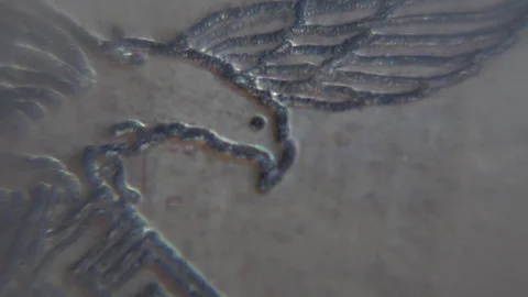 Leica Luftwaffe camera Stock Footage 69750337