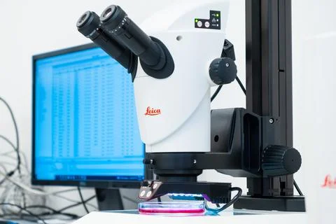 Leica Microscope and computer for DNA analysis or small objects and cells Stock Photos