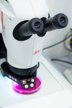 Leica Microscope for DNA analysis or small objects and cells. Microbiological or Stock Photos
