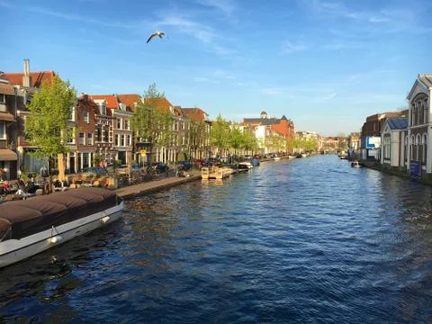 Leiden Stock Photos