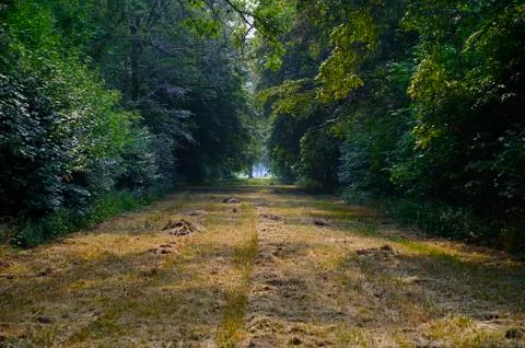 Leipzig Stock Photos