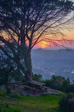 Leiria quality image Stock Photos