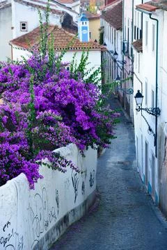 Leiria quality image Stock Photos