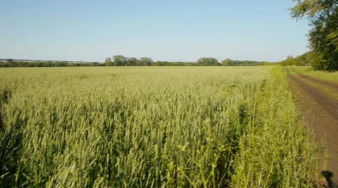 Leisure Stockbeeldmateriaal 11428331