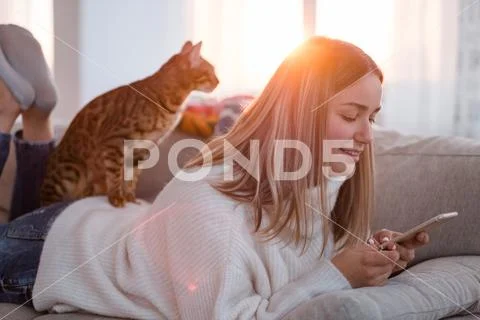 Leisure time animal pet companion happy pastime Stock Photos