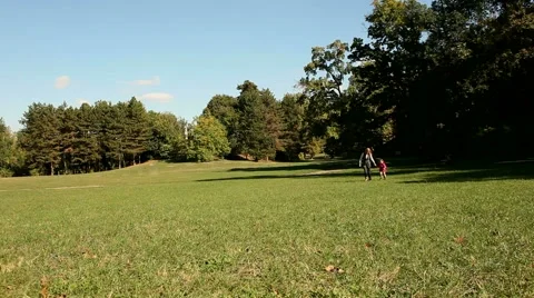 Leisure time in park Stock Footage 41545453