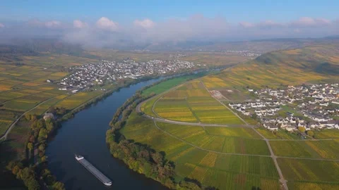 Leiwen, Moselle Valley with loop of Mosel river, aerial view, riesling wine Stock Footage 336167759