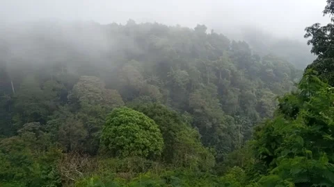 Lembah Cisuruan Video stock 221598422