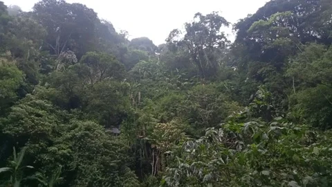 Lembah Cisuruan Video stock 221598516