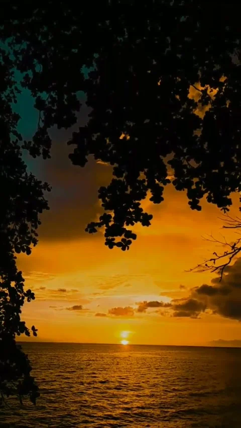 Lembayung Video stock 219734810