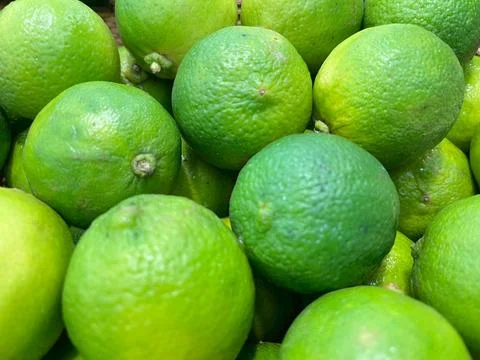 Lemomd-1 Stock Photos