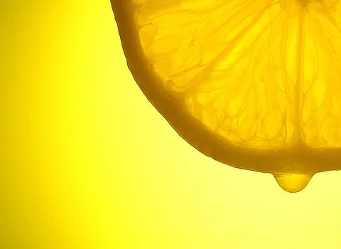 Lemon Anatomy Foto stock