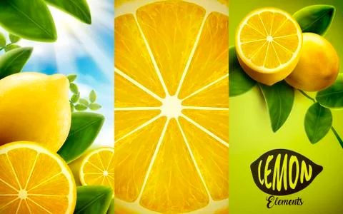 Lemon and green leaves elements 스톡 일러스트