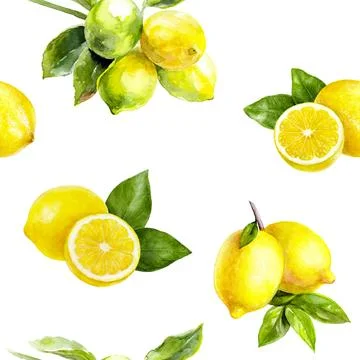 Lemon and leaf pattern on white background suitable for artistic and design 스톡 일러스트