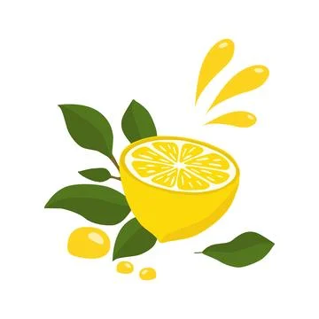 Lemon and lemon halves with a sprig and drops of lemon juice. A bright compos Stock Illustration
