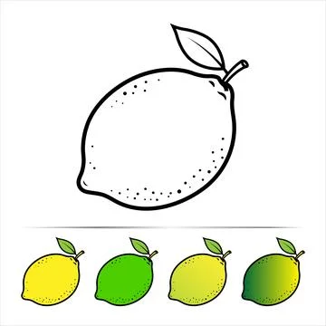 Lemon and Lime Fruit Line Art with Color Variations Stock Illustration